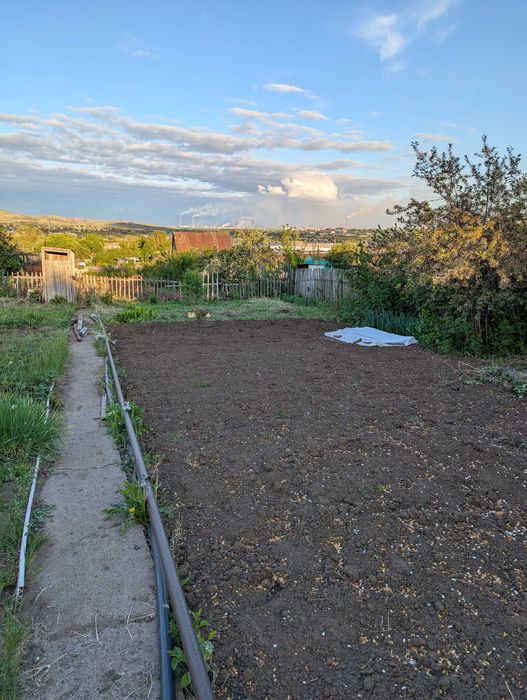 Дача, общество Природа