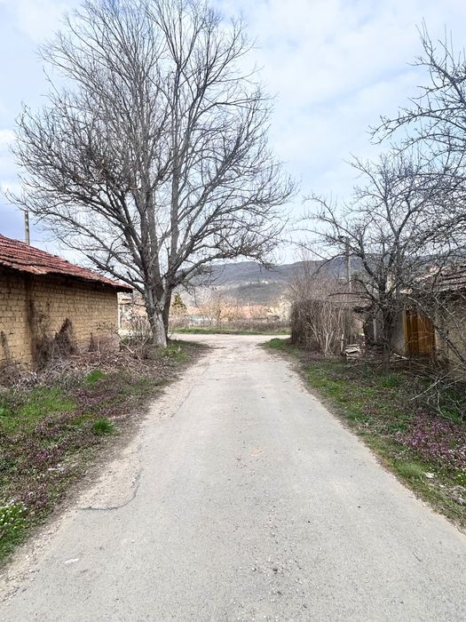 Къща с 3.8 дка в китното село Арковна