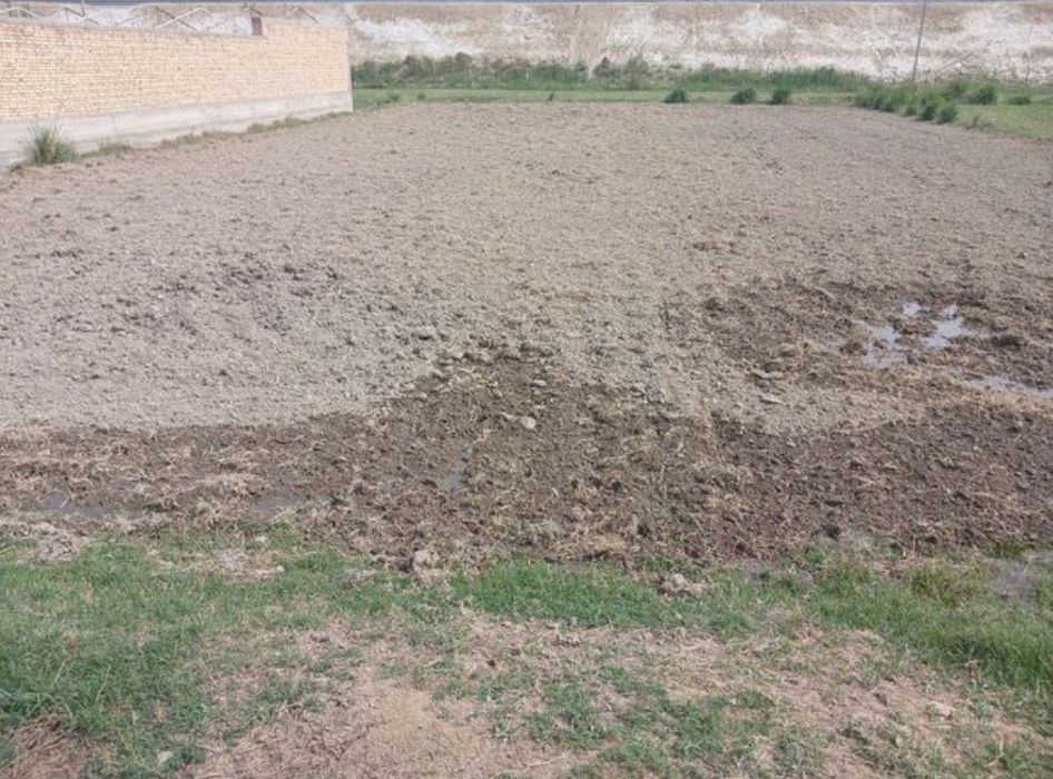 Куёвбоши мфида участка сотилали