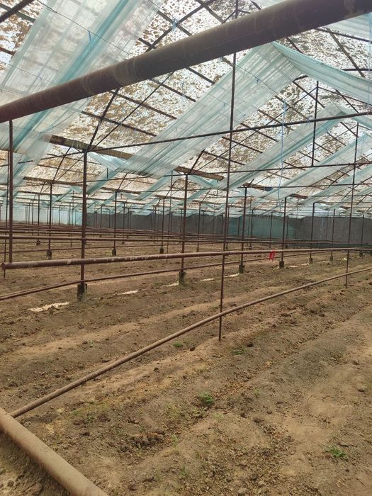 Теплица сотилади