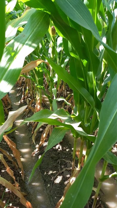 Продам земельный участок