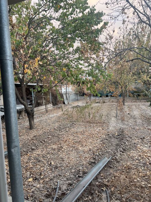 Yuqorichirchiq tumani Saksonota MFYda 420kv/m Dacha sotiladi