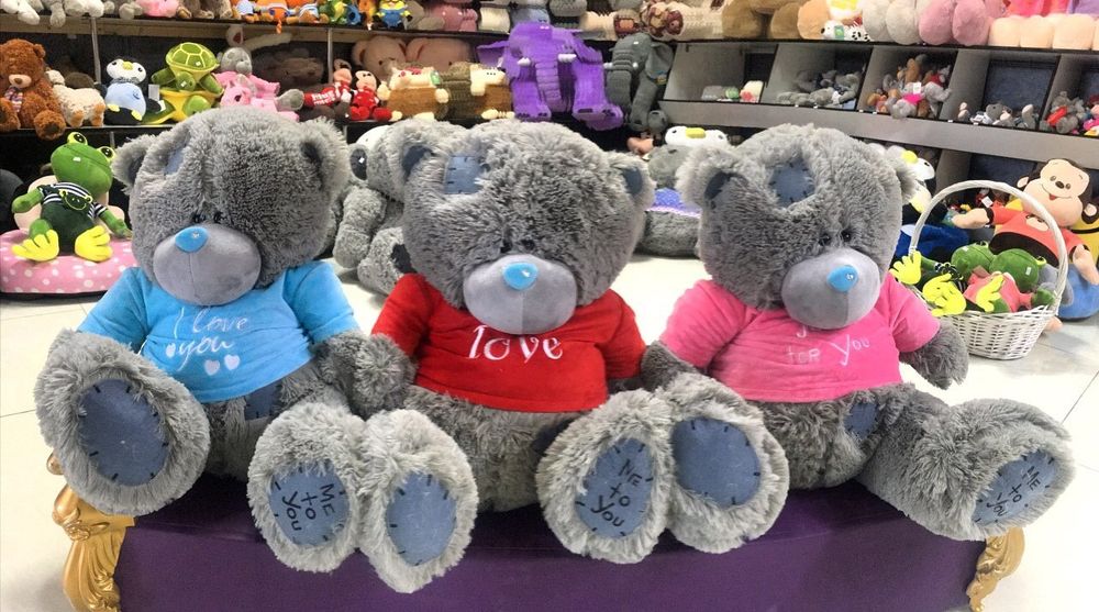 Tedi miyahki teddy
