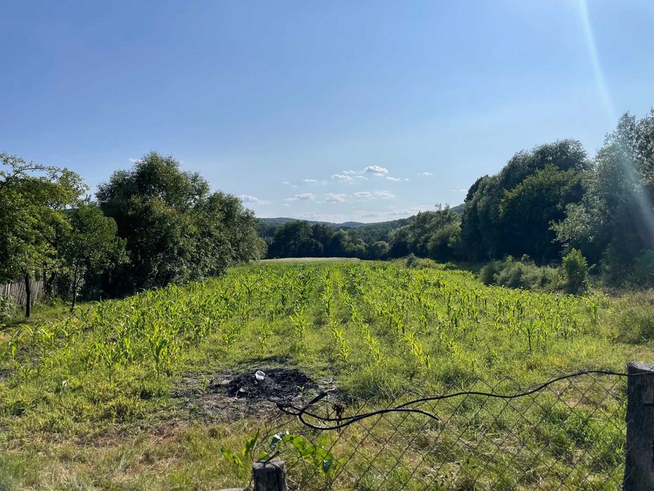 Vand Casa + teren 12.000 mp in Cernisoara, sat Modoia, Valcea