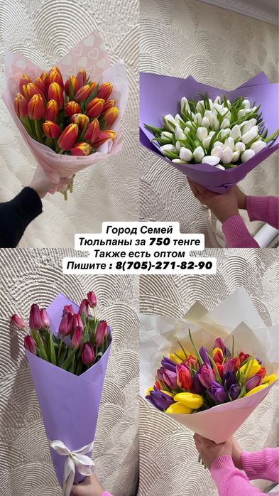 тюльпаны семей.