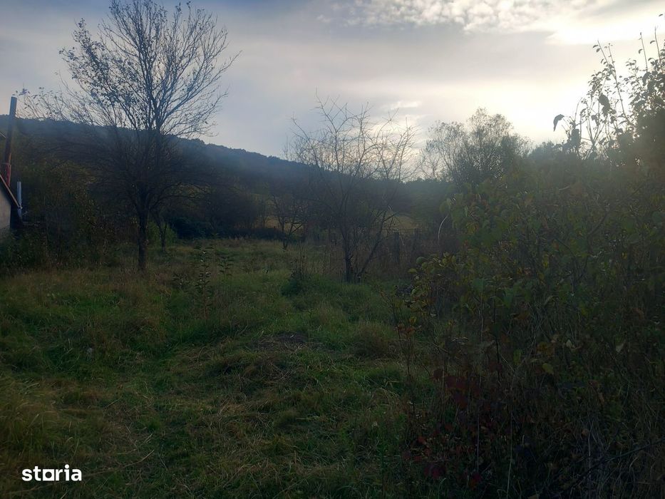 Teren  intravilan,9500mp, cu casa veche și utilități ,Remetea, Unirii