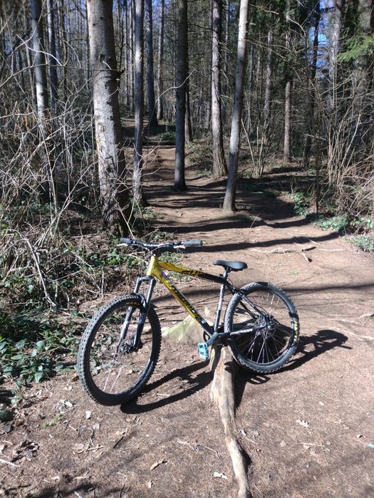 Merida entry level mountain bike
