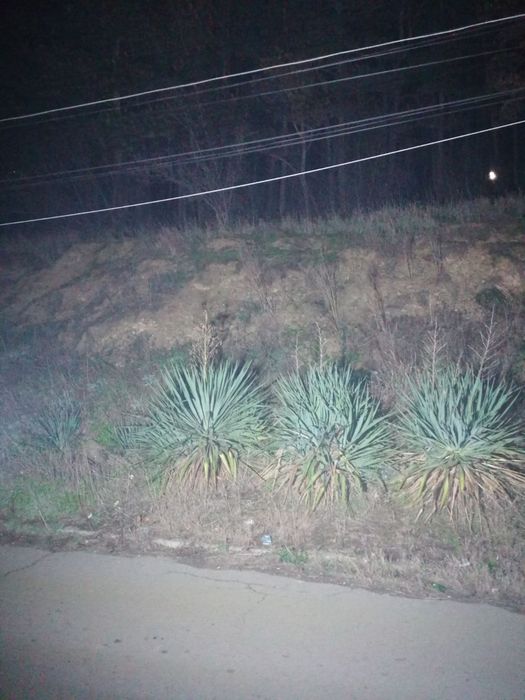 Акумулаторна Работна лампа фенер 20w LED COB