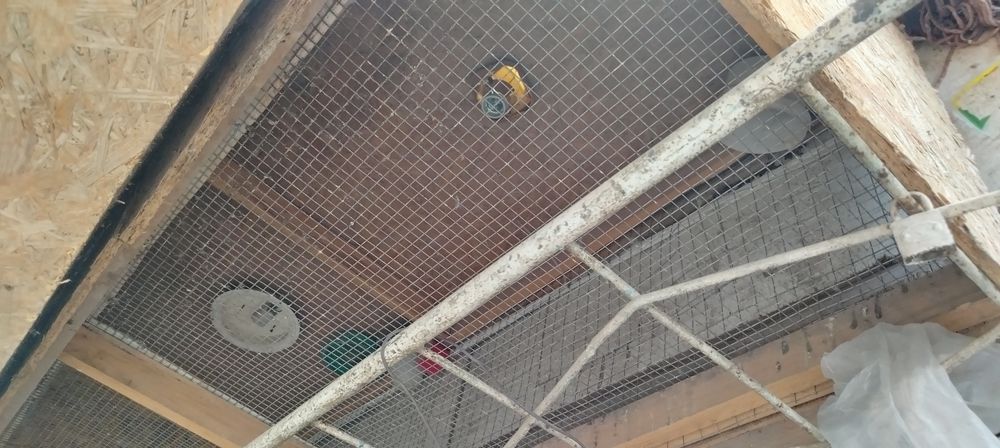 Брудер для цыплят.