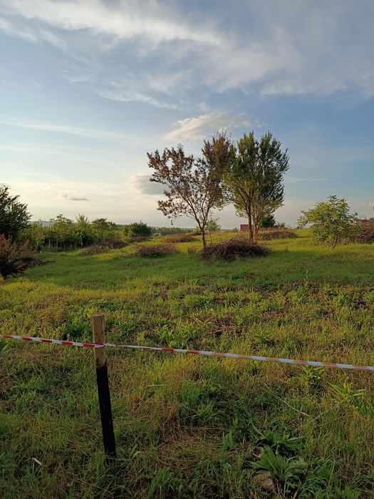 Dau in chirie teren intrav cluj n-  Sopor 1750mp