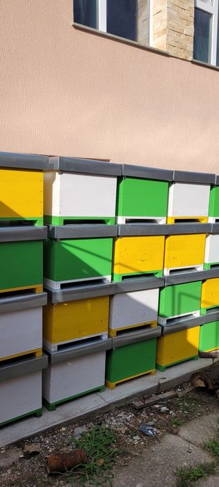 Stupi de albine/ lazi pe 12 rame