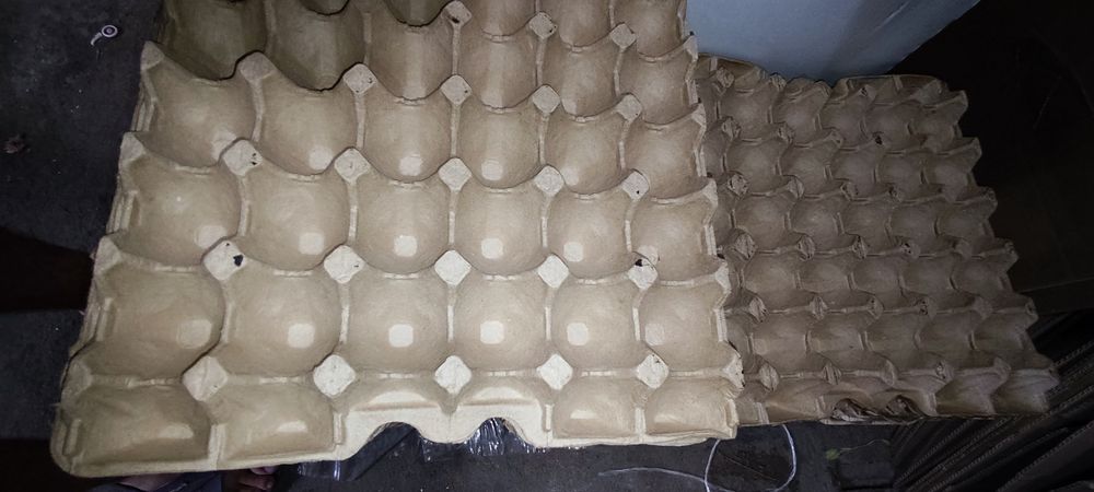 Лотки для яиц по 10 тенге