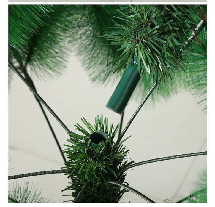 Ёлки.     .  . .