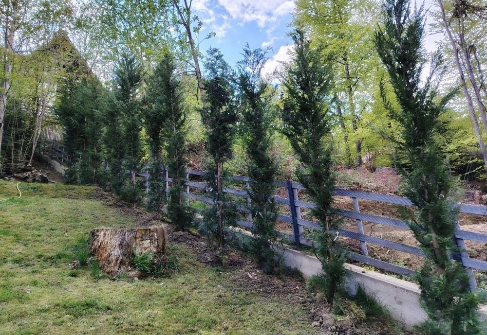 Piatră pentru pavat curți alei pietonale mă deplasez ori unde in țară