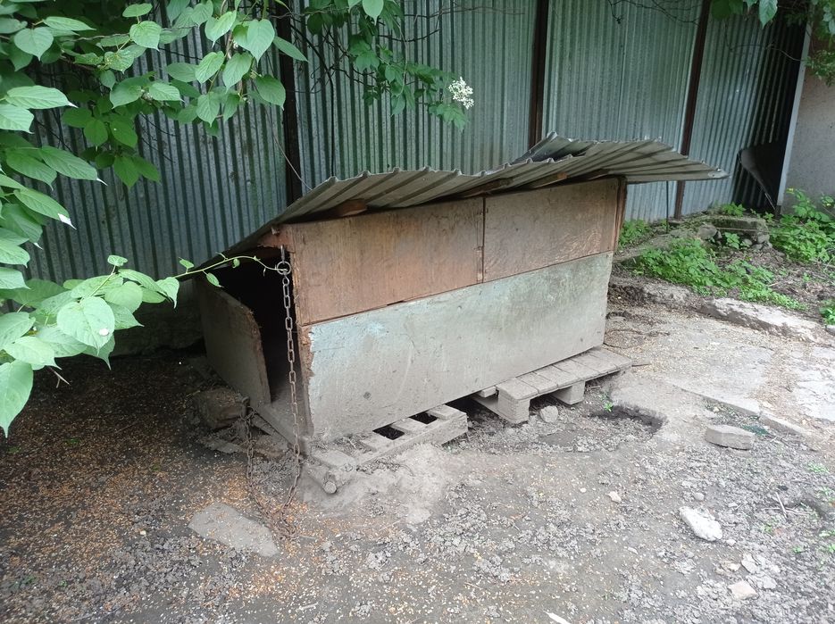 Продам собачью будку