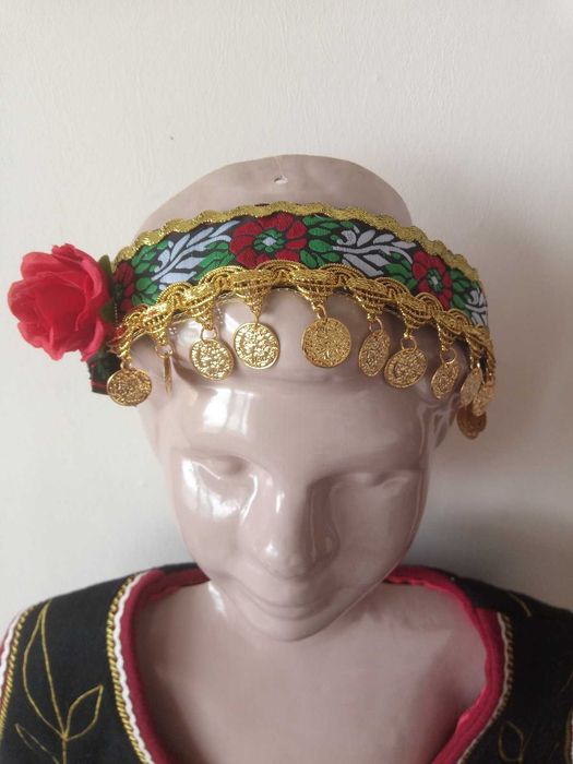 Косичник прочелник за носия