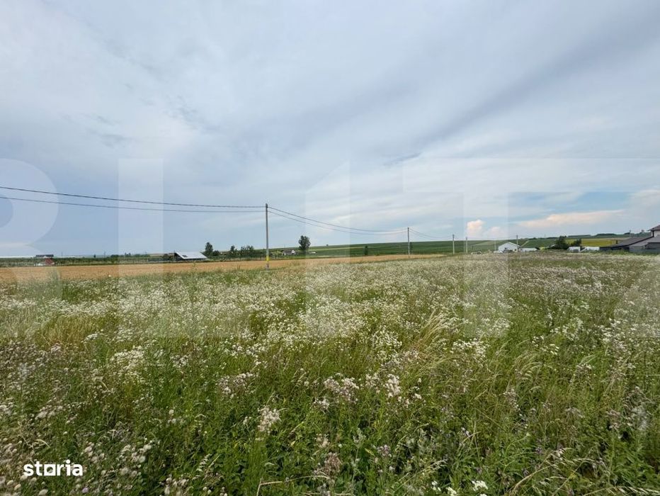 Loturi teren, 700 mp, Rachiti, Botosani