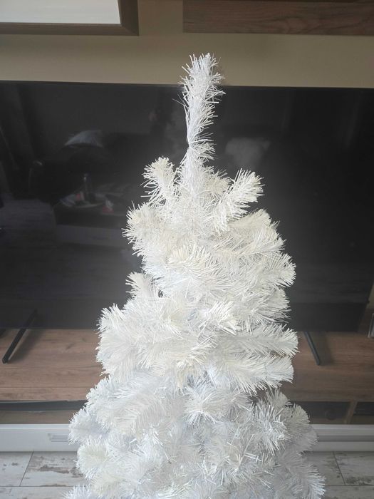 Елха бяла 150 см. за 20 евро