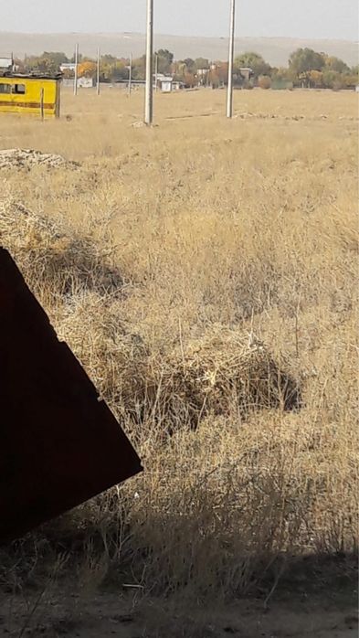 Земля заречный 24сотки торг