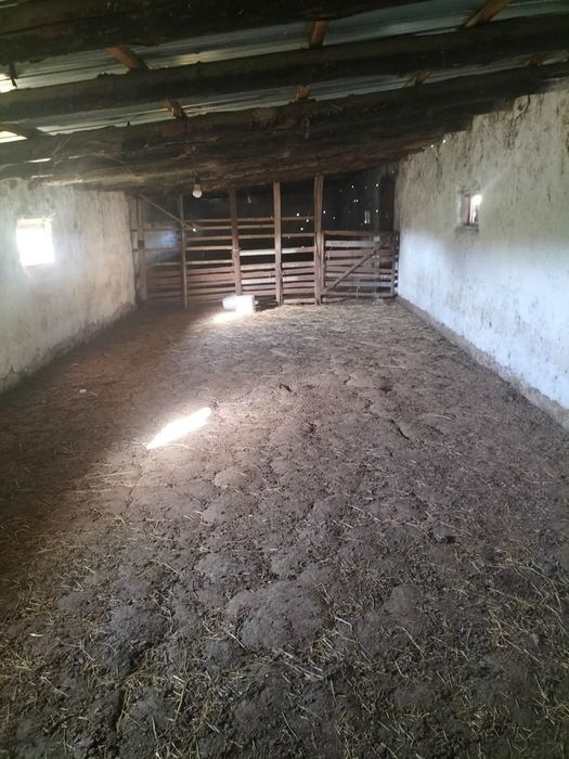 Фазенда, кашара 200га