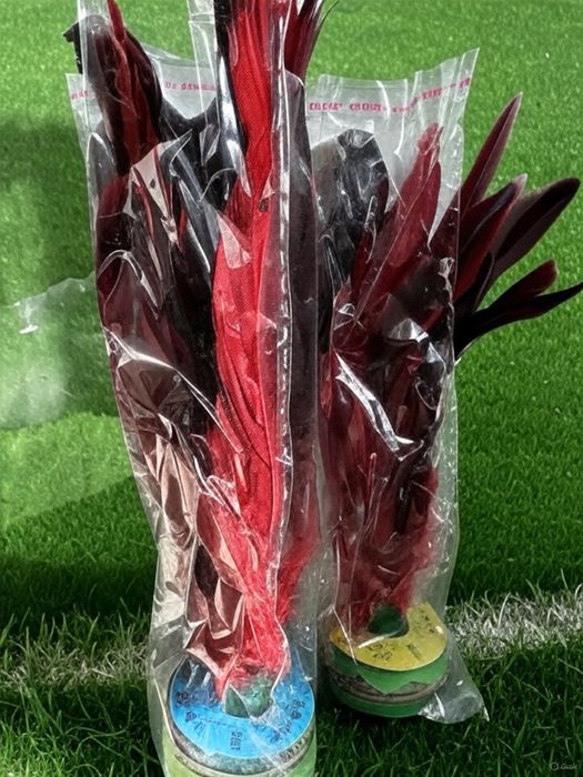 Футбольная Лянга