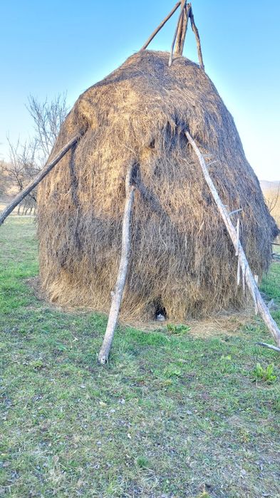 Claie cu fân -an 2025