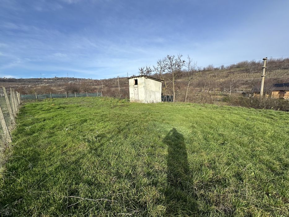 Vând teren intravilan în Huși (suprafață intreagă sau 2 loturi)