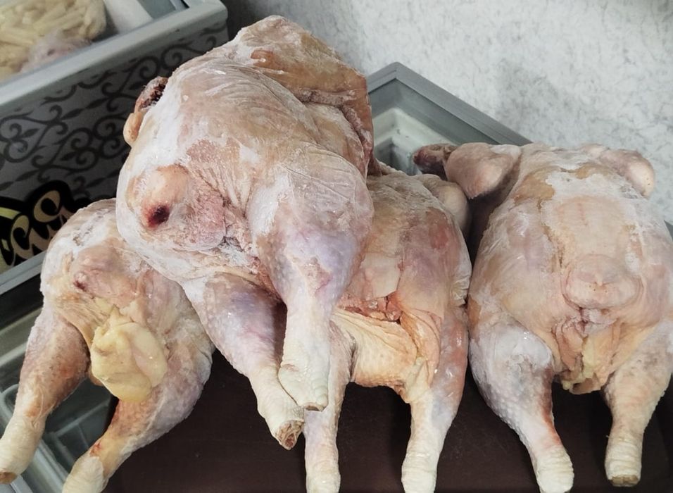 Эко мясо Бройлера, Курица