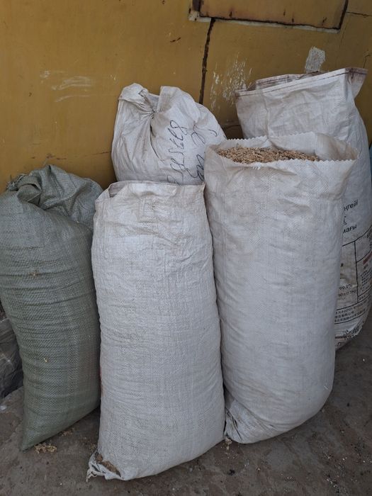 Апилка ең арзан бағада