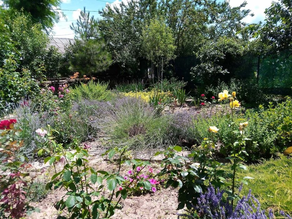 Casa  Vadu jud Constanta