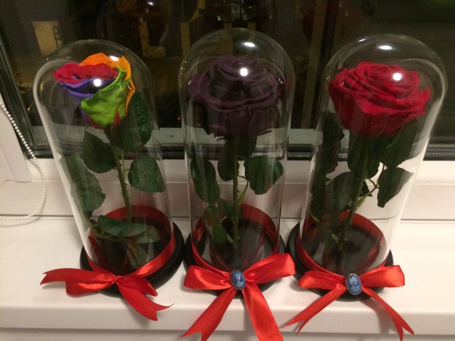 Trandafir criogenati conservati cadou