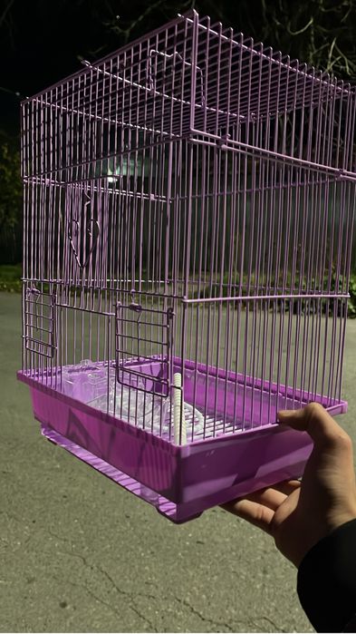 Волнистый попугай