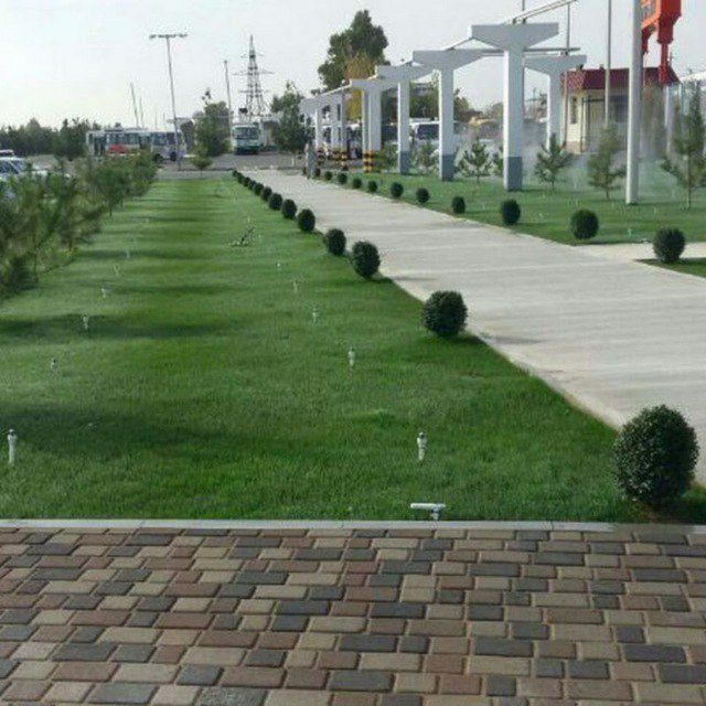 Газон ва гуллар хизмати