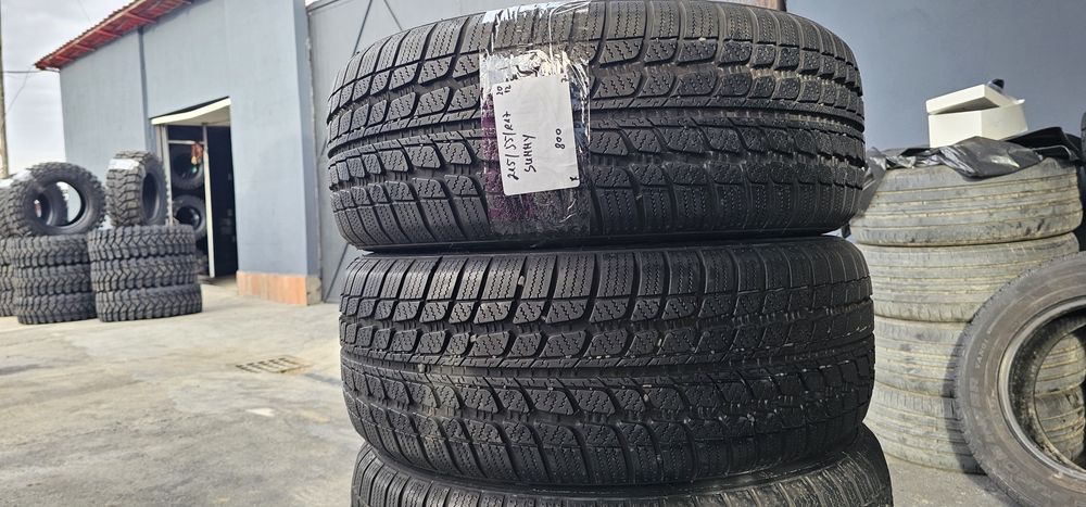 215 55 R 17 Sunny iarna