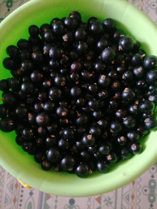 Продам смородину 3л, вишня 6л
