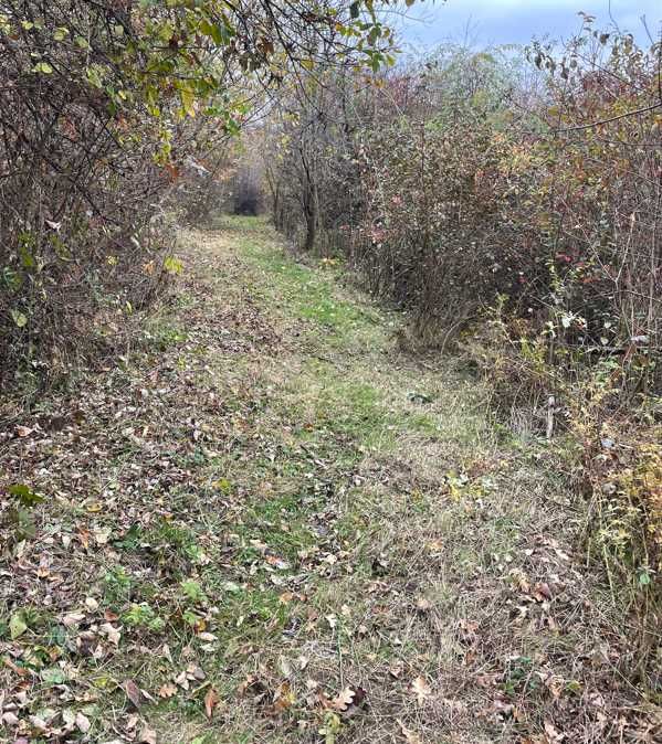 Tautii-Magheraus ,teren intravilan 62 ari , deschidere 119m