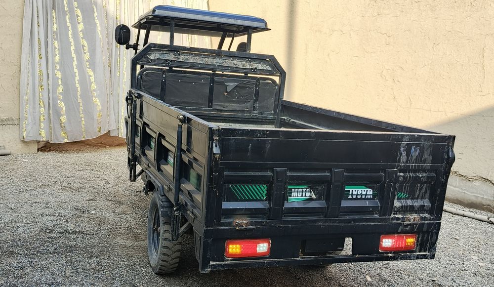 Плектром Муравей,  Elektro Muravey