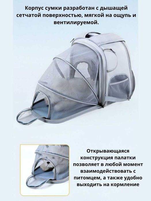 переноска для кошек