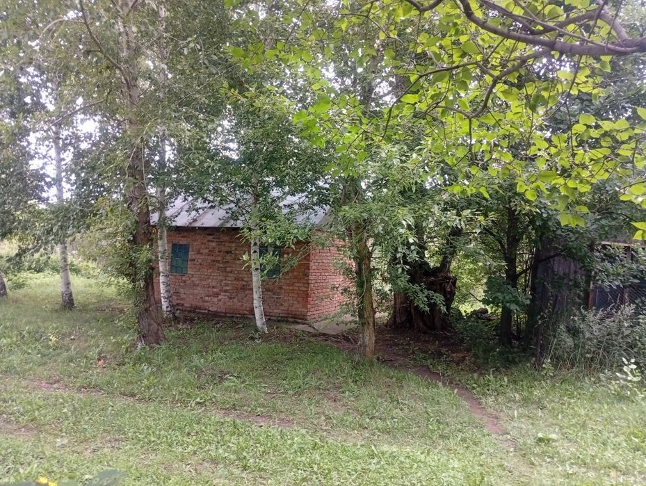 Дача с пасекой (за Тарханкой)