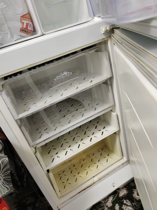 Холодильник двухкамерный Бирюса