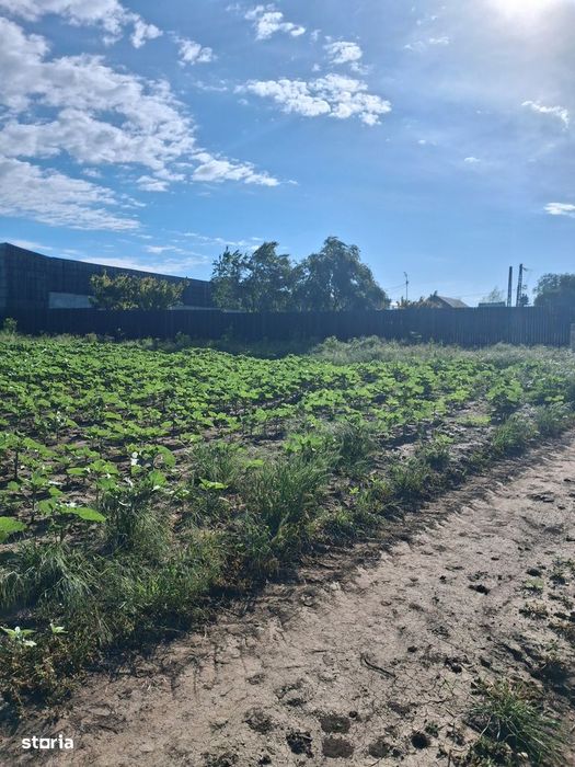 Teren agricol 1000mp, acces asfaltat, 35.000 EUR