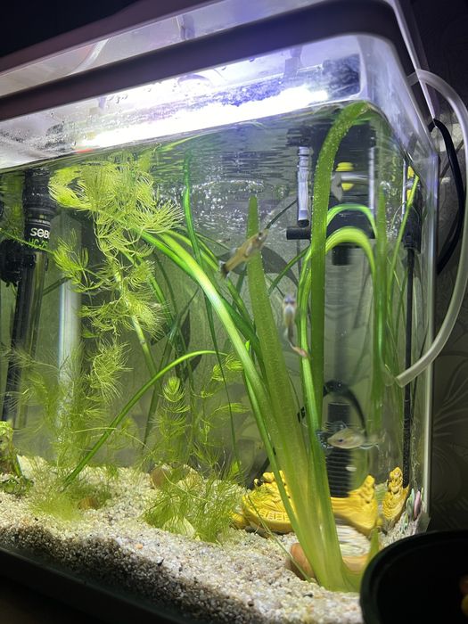 Акриловый аквариум