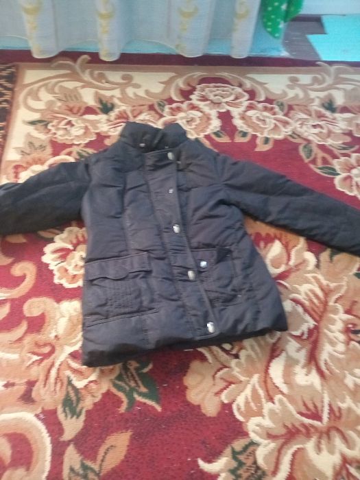 Сотилади куткалар