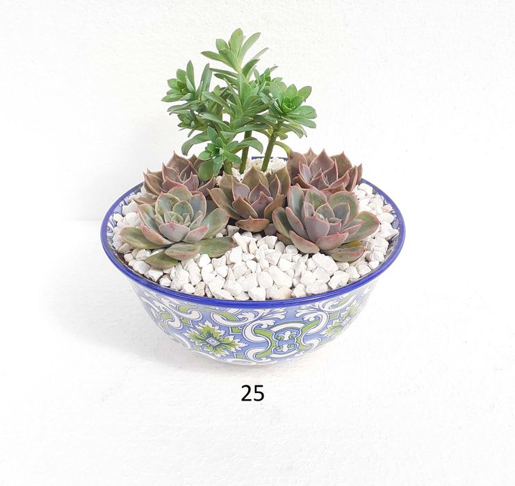 Сукуленти подаръци