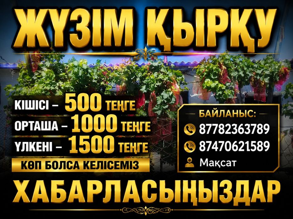Жүзім қырқу. Обрезка винограда.