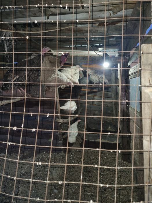 Продам дом на дальней