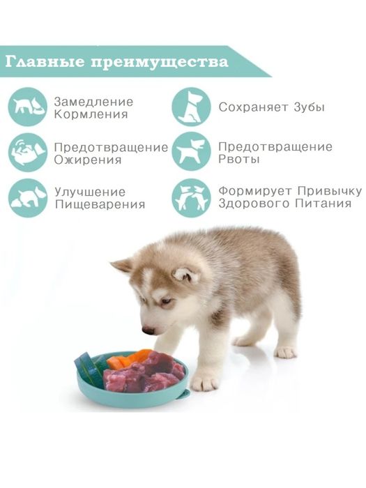 Миска медленного кормления