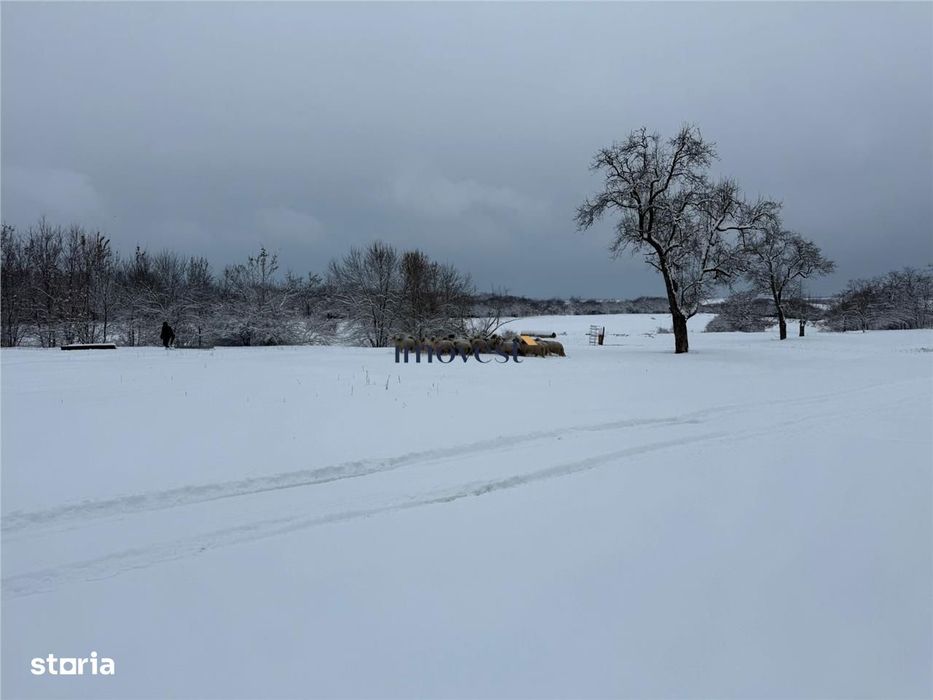 Proprietate Premium de Vanzare Castel Istoric cu Domeniu de 52.000 mp