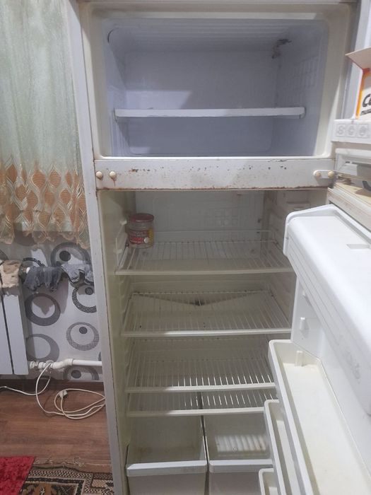 Xaladelnik rosiyskiy