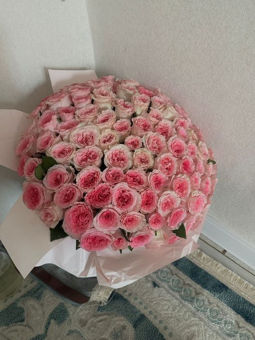 Цветыы свежие , Кокшетаау